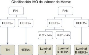 Ilustración 5: Clasificación IHQ del cáncer de mama.