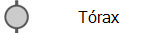 Tórax